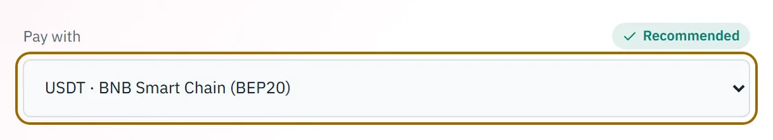 The Pay with menu set to USDT on BNB Smart Chain, marked Recommended